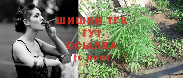 первитин Надым