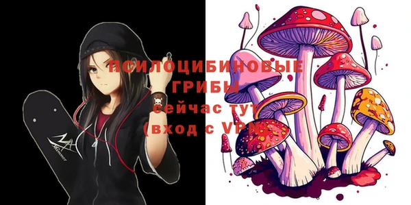 ГАЛЛЮЦИНОГЕННЫЕ ГРИБЫ Михайловск