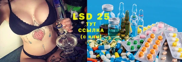 сатива Михайловка