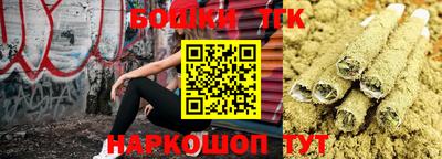 шишки Бийск