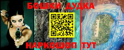 спиды Камышлов