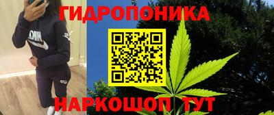 шишки Бийск