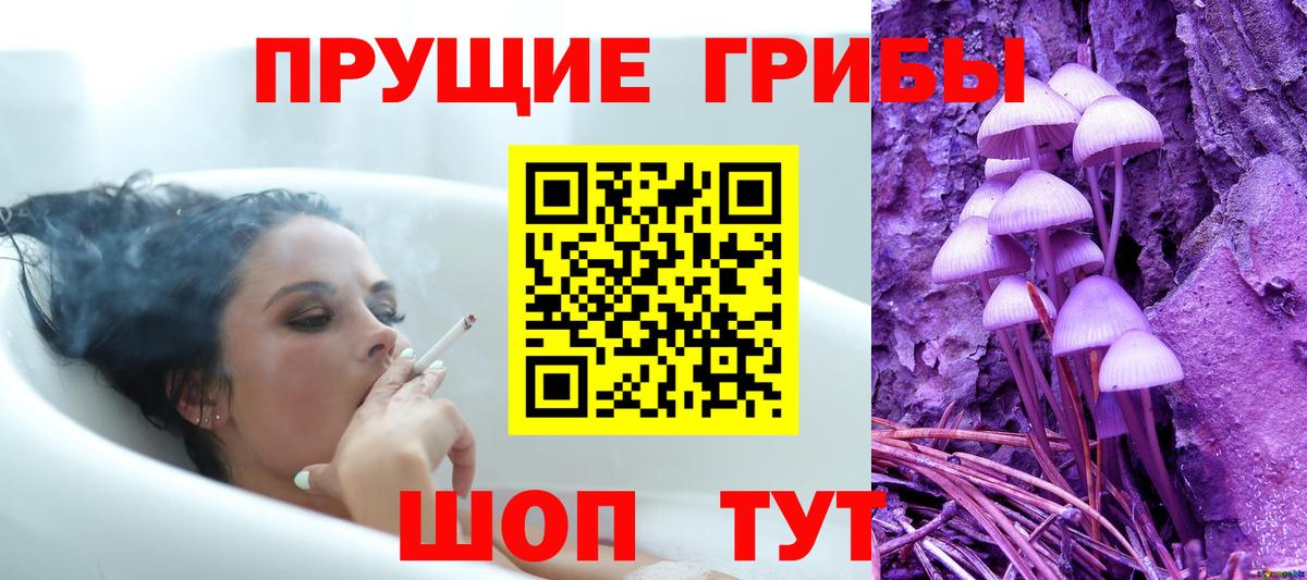 Галлюциногенные грибы Psilocybine cubensis  Вход с VPN  цены   Канск 