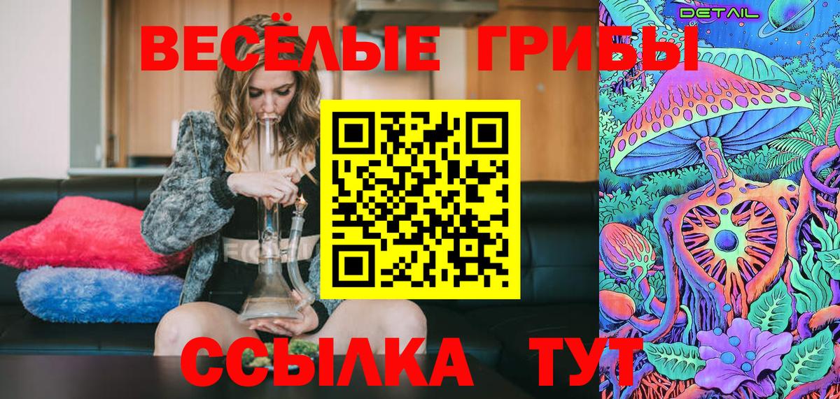 Галлюциногенные грибы Psilocybe Канск