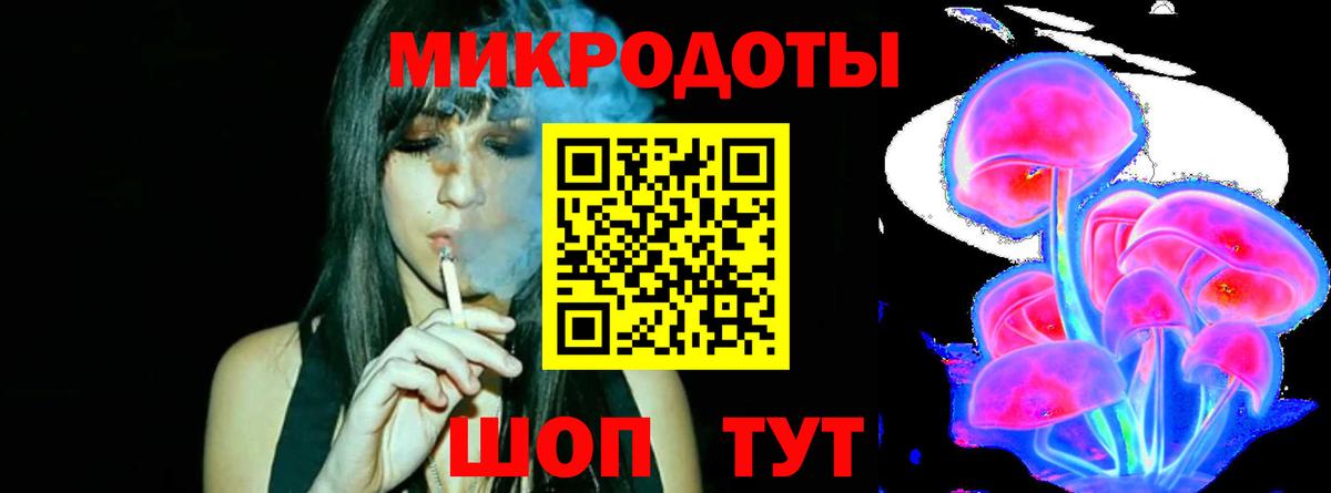 Галлюциногенные грибы Psilocybine cubensis  Канск 