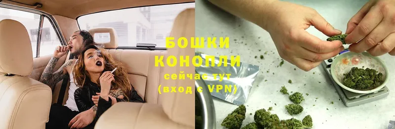 Бошки Шишки OG Kush  наркотики  MEGA онион  Канск 